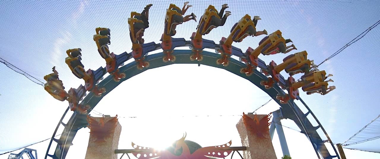 Phoenix Rising soars at Busch Gardens Tampa Bay