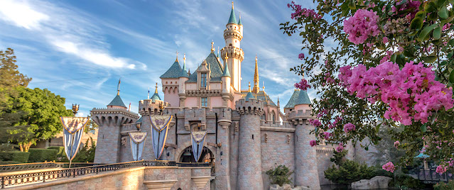 Disneyland's castle is getting a new roof