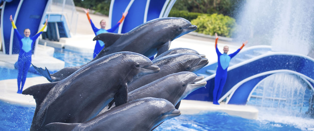 SeaWorld Promotes CEO, Announces Earnings