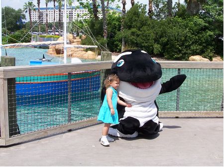 SeaWorld Orlando photo, from ThemeParkInsider.com