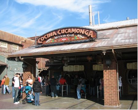 Disney's California Adventure photo, from ThemeParkInsider.com