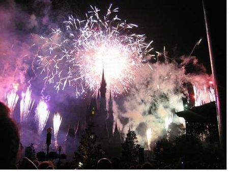 Walt Disney World's Magic Kingdom photo, from ThemeParkInsider.com