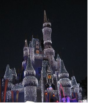 Walt Disney World's Magic Kingdom photo, from ThemeParkInsider.com