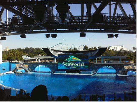 SeaWorld Orlando photo, from ThemeParkInsider.com